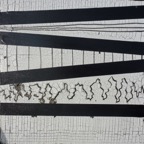 P1040538